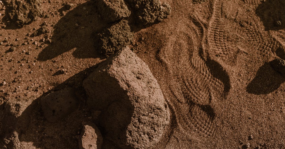 Why are there exclamation marks instead of the Shivering Isles Portal? - Shoe Marks on the Brown Sand 