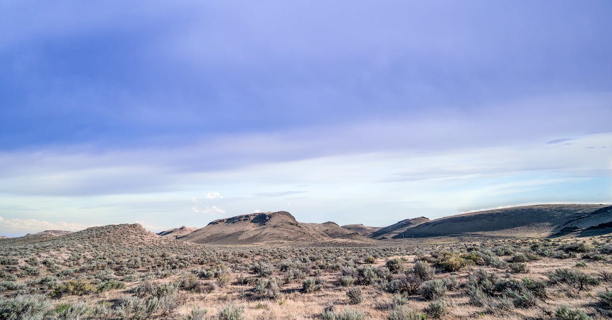 Why are there green pulses surrounding me at apparently random times? - Picturesque landscape of dry semidesert