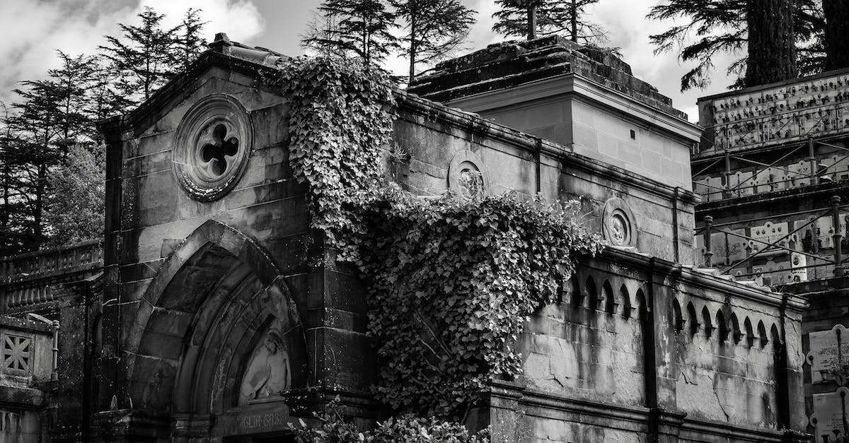 Why are there vines over the entrance to Bthardamz? - Grayscale Photo of a Chapel Why are there vines over the entrance to Bthardamz? - Grayscale Photo of a Chapel