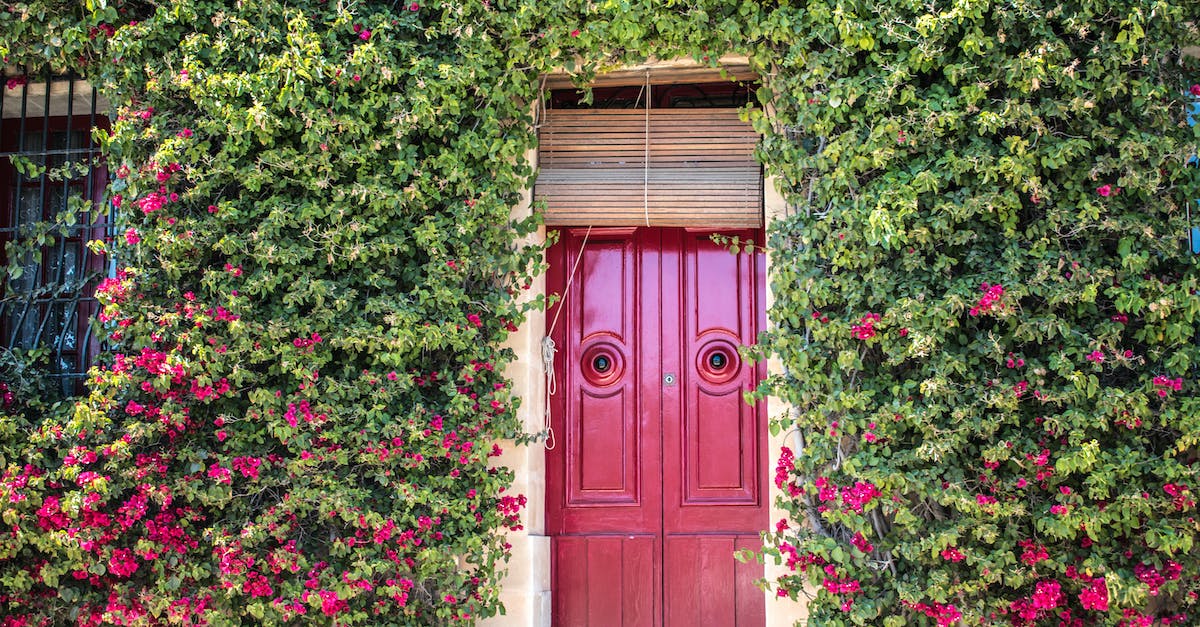 Why are there vines over the entrance to Bthardamz? - Red Wooden Door of a House Why are there vines over the entrance to Bthardamz? - Red Wooden Door of a House
