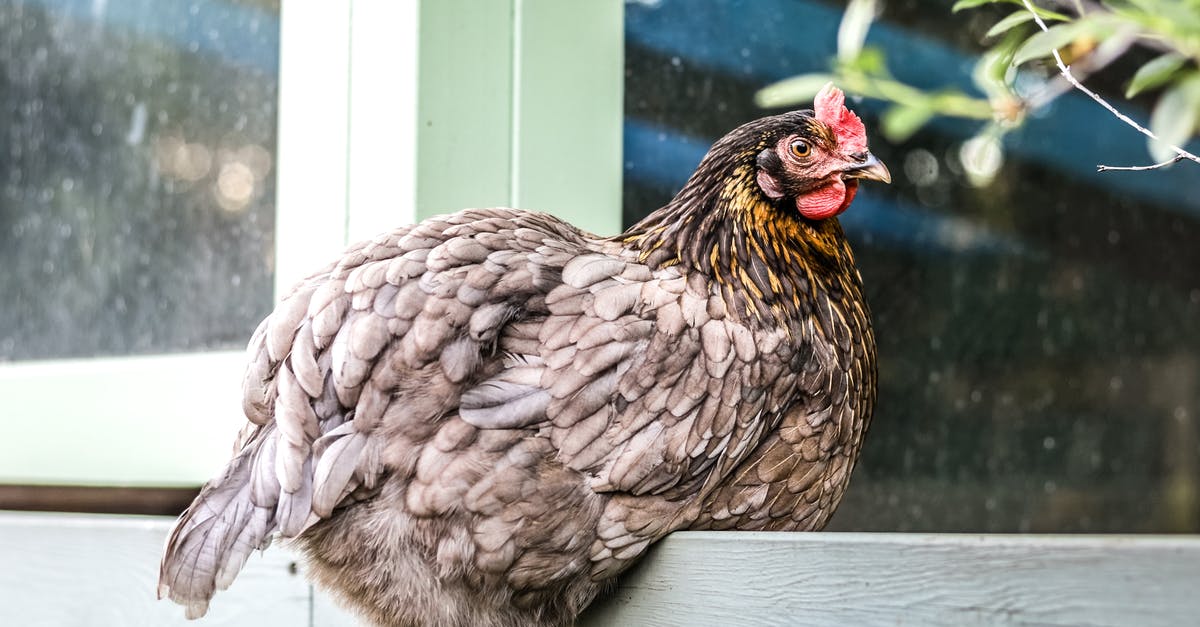 Why are tier 3 submarines stronger than tier 4? - Photo of Brown Chicken
