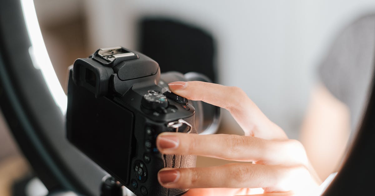 Why button check? - Crop anonymous female with neat manicure configuring modern photo camera near studio lamp in soft focus Why button check? - Crop anonymous female with neat manicure configuring modern photo camera near studio lamp in soft focus
