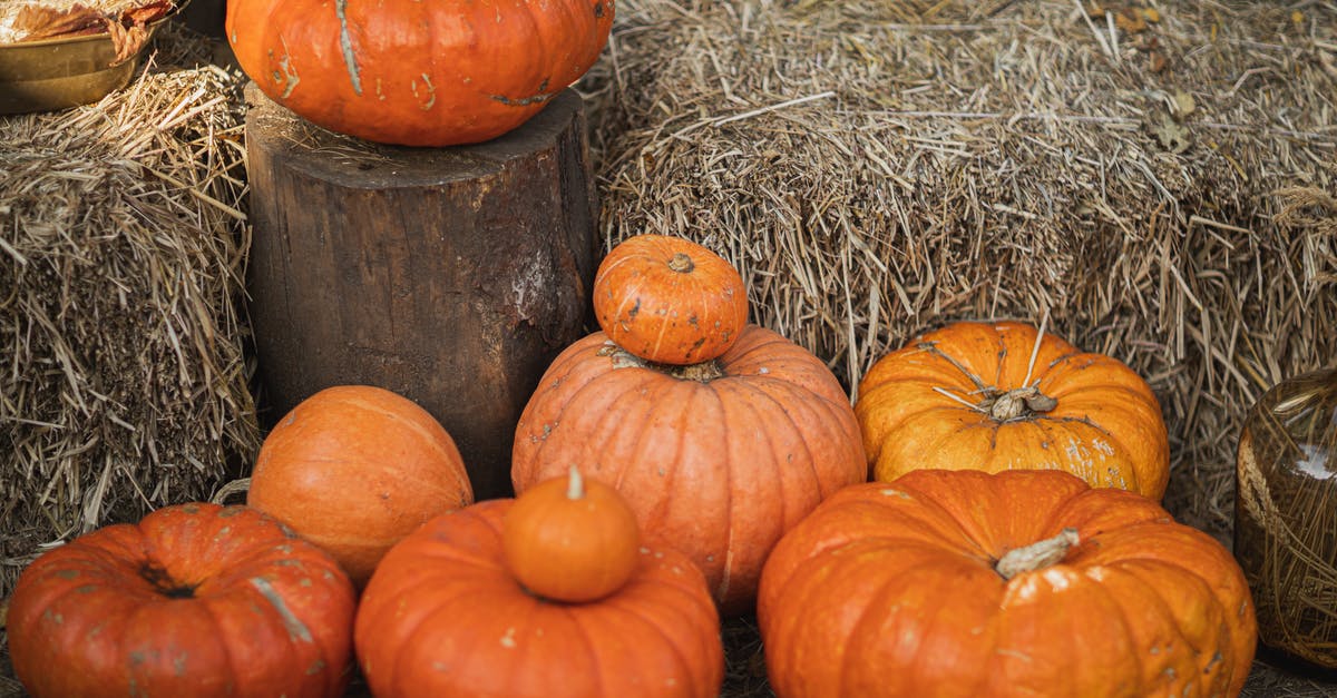 Why can't big iron farms be built anywhere in the world, while small ones can? - Orange Pumpkins on Brown Hay