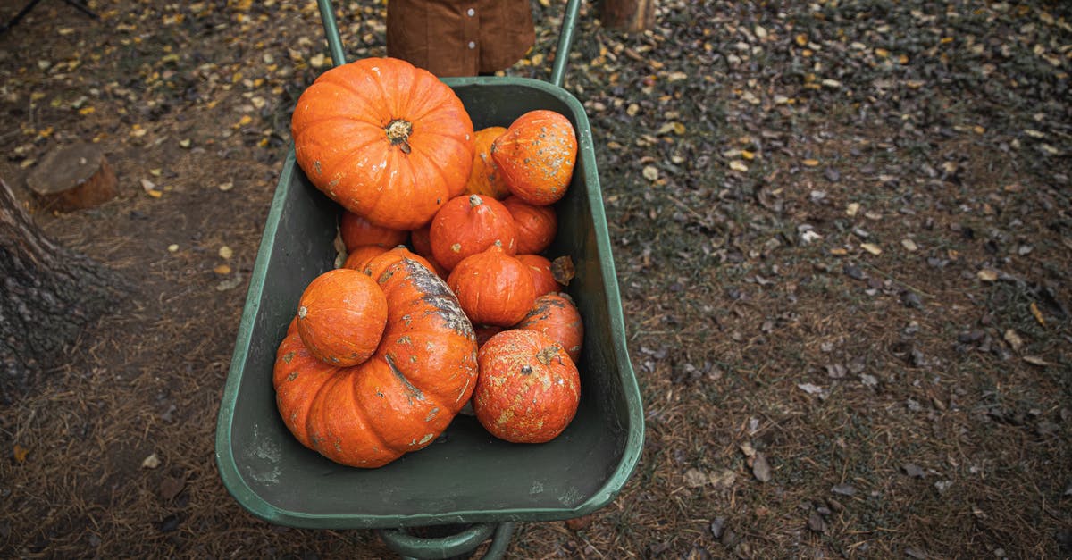 Why can't big iron farms be built anywhere in the world, while small ones can? - Orange Pumpkins on Green Wheelbarrow Why can't big iron farms be built anywhere in the world, while small ones can? - Orange Pumpkins on Green Wheelbarrow
