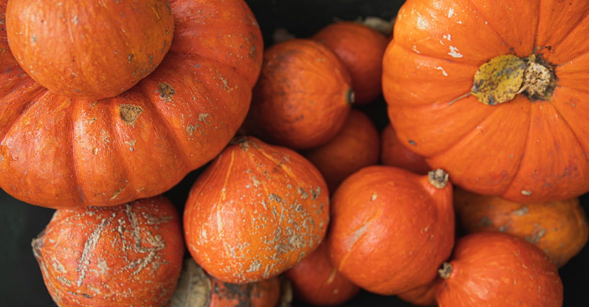 Why can't big iron farms be built anywhere in the world, while small ones can? - Orange Pumpkins Why can't big iron farms be built anywhere in the world, while small ones can? - Orange Pumpkins