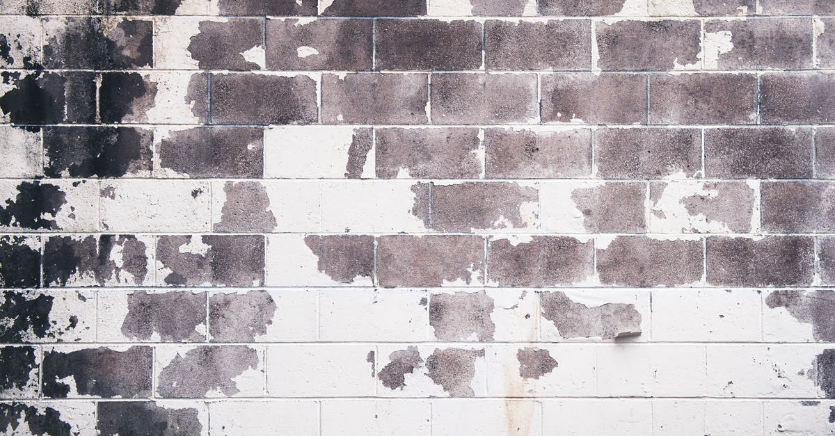 Why can't I build Great Wall on this particular tile? - White and Gray Concrete Brick Wall