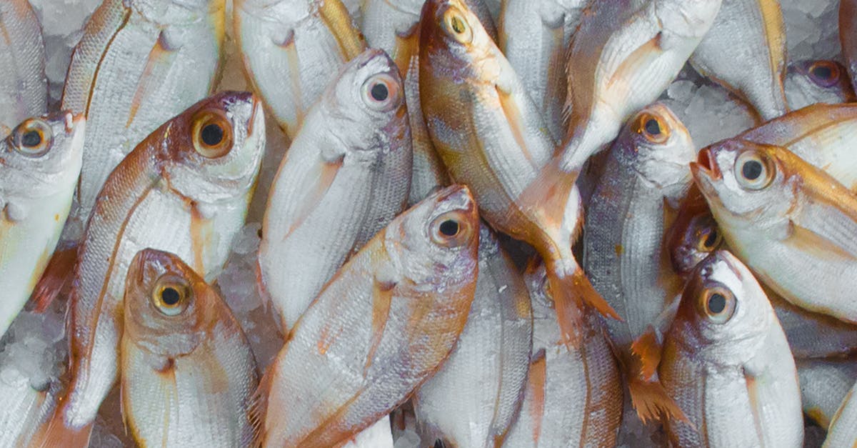 Why can't I catch any Pokémon in Pokémon Go? [duplicate] - Pile of Fish