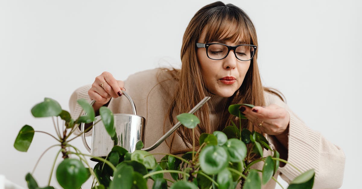 Why can't I get Crushing Blow 2? - Woman Blowing on a Leaf of a Houseplant 