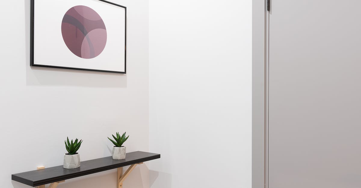 Why can't I place a door? - Modern design of wall decoration in lobby