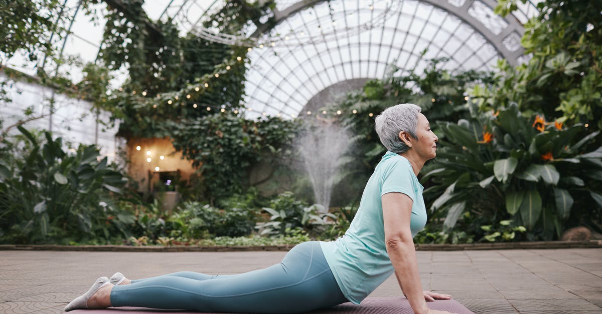Why can't I progress in Zen Garden - Woman Doing Cobra Pose Why can't I progress in Zen Garden - Woman Doing Cobra Pose