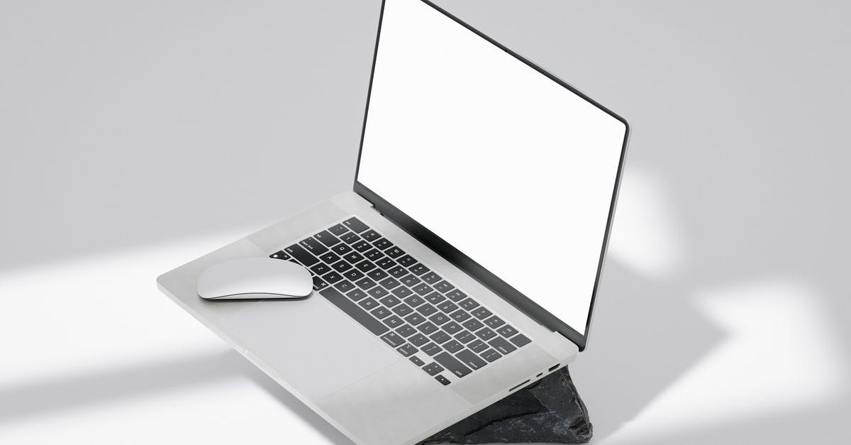 Why can't I turn off mouse acceleration in Skyrim? [duplicate] - Laptop blank screen mockup