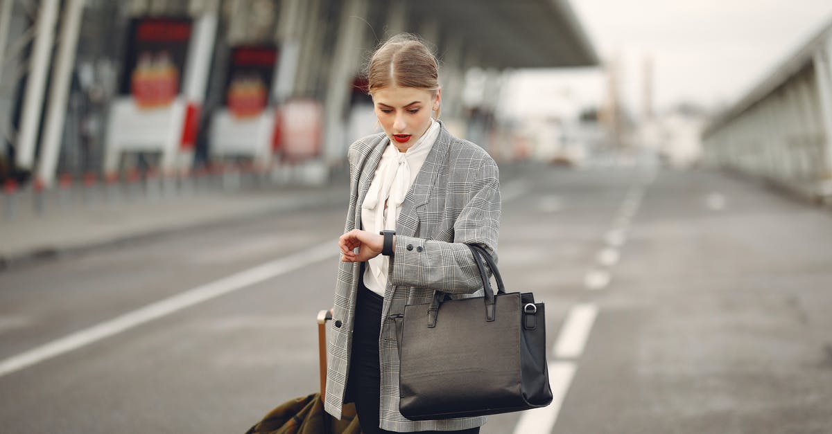 Why can't my Time Traveler phase through the stalactites after the Twins' Mansion? - Worried young businesswoman with suitcase hurrying on flight on urban background