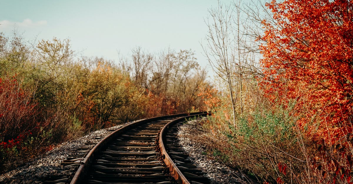 Why can I shake all the bushes and trees? - Railroad Tracks in an Autumn Scenery Why can I shake all the bushes and trees? - Railroad Tracks in an Autumn Scenery