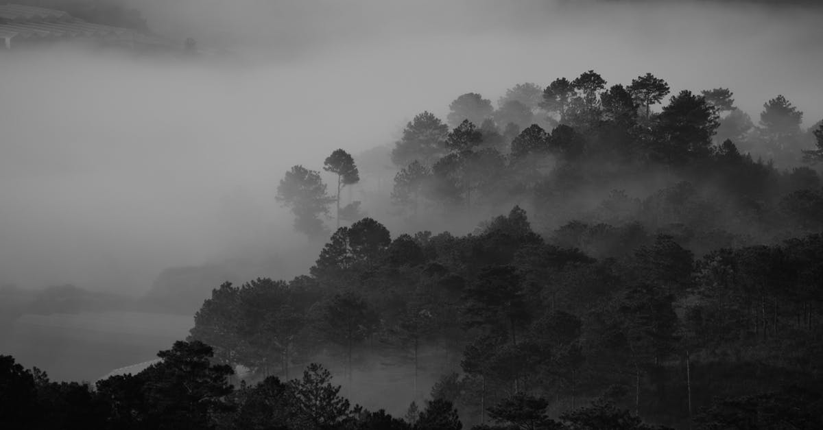 Why did Cloud gave the Black Materia to Sephiroth twice? - Grayscale Photography of Trees