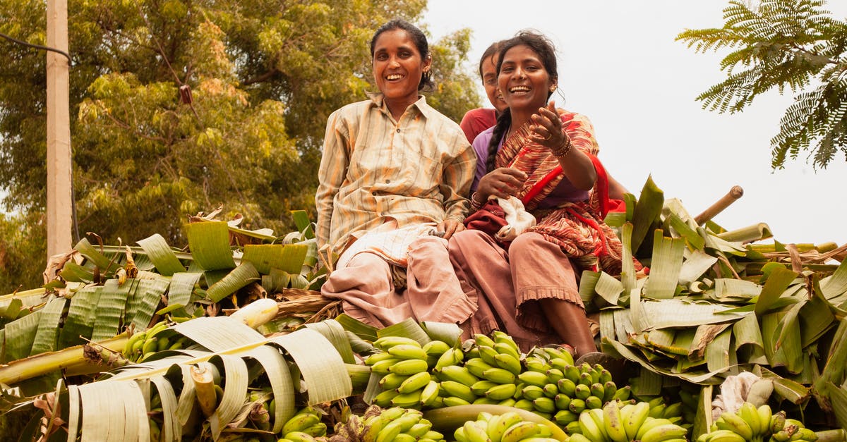 Why did some of my fruit trees not grow to the next stage? - Women On Top Of Harvested Bananas