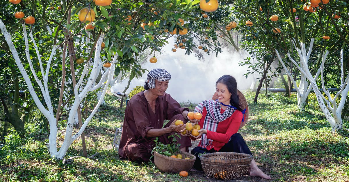 Why did some of my fruit trees not grow to the next stage? - Man And Woman Enjoying The Harvested Fruits