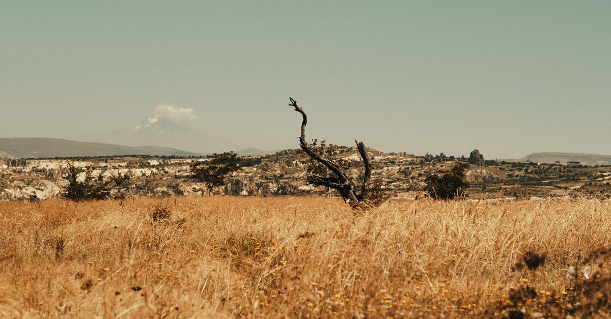 Why do Dwellers return from the Wasteland by themselves? [duplicate] - 