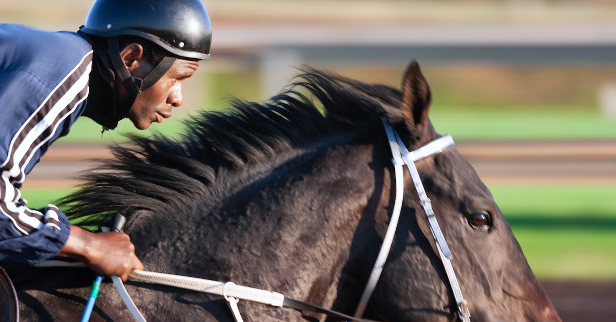 Why do horses shake their head "no" even when saddled? - Tilt Shift Focus Photography of Man Riding Horse