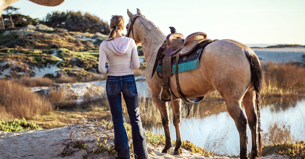 Why do horses shake their head "no" even when saddled? -  Woman Standing Beside Brown Horse