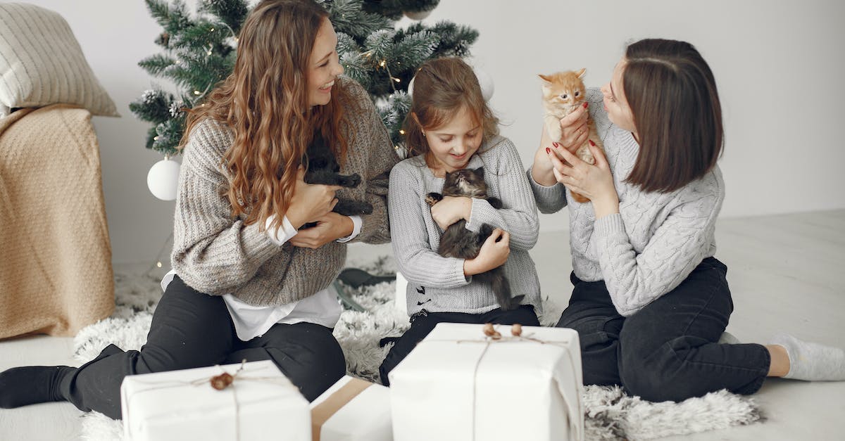 Why do I only have 2 paragon with 121 kittens in year 3172? - Mother with Children with Kittens near Christmas Tree Why do I only have 2 paragon with 121 kittens in year 3172? - Mother with Children with Kittens near Christmas Tree