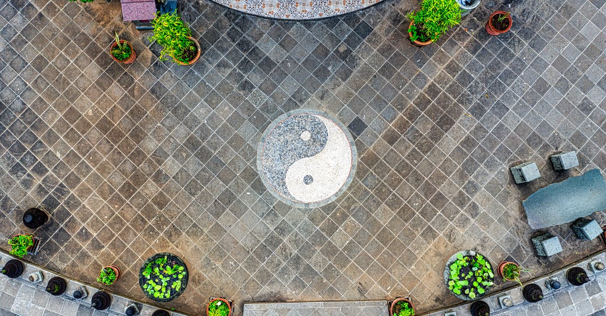 Why do I sing to my plants? - Inner yard with plants and yin and yang symbol Why do I sing to my plants? - Inner yard with plants and yin and yang symbol