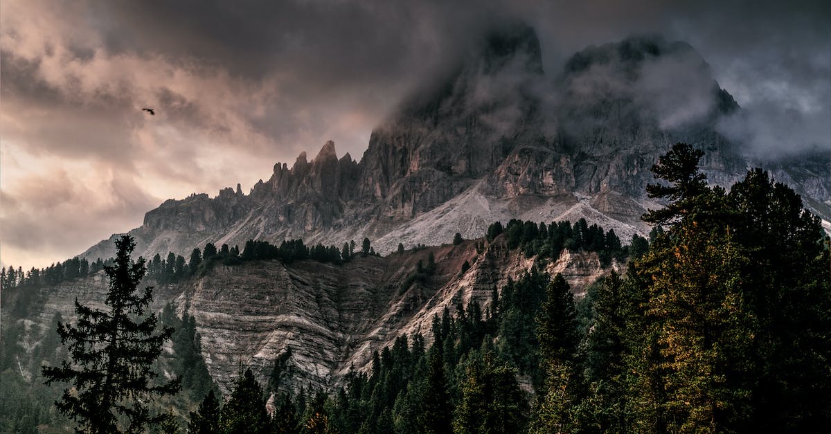 Why do my dwarves climb trees? - Photo of Mountain With Ice Covered With Black and Gray Cloud