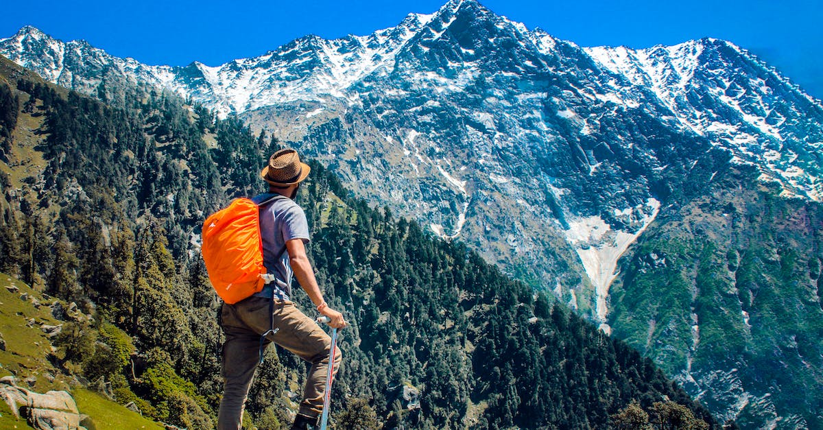 Why do my dwarves climb trees? - Man Wearing Blue Shirt Standing on Cliff While Watching Mountain