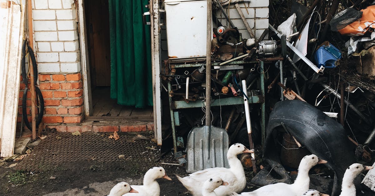 Why do people waste their time attacking the Smashville balloons and Duck Hunt birds? - Flock of White Geese on Brown Soil