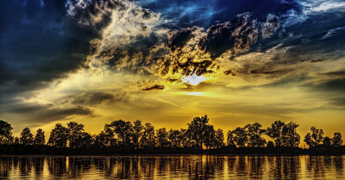 Why do pidgeys and rattatas still appear even if not in sightings? - Body of Water during Sunset