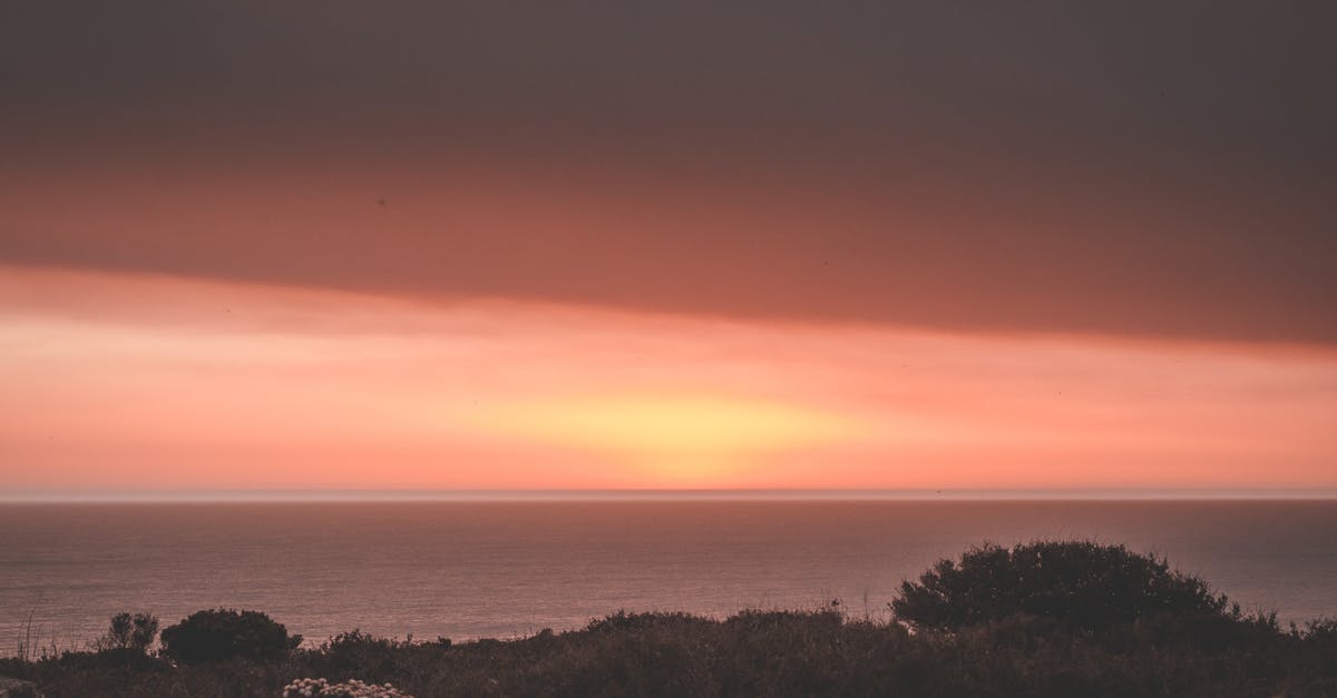 Why do pidgeys and rattatas still appear even if not in sightings? - Breathtaking scenery of dark pink cloudy sunset sky over endless majestic sea in evening nature