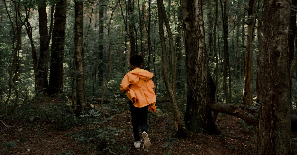 Why do Pokemon escape when I'm not moving? - Rear View of Teenage Boy Running in Forest Why do Pokemon escape when I'm not moving? - Rear View of Teenage Boy Running in Forest