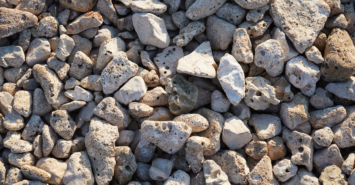 Why do residents keep digging holes on the beach? - Gray Stones