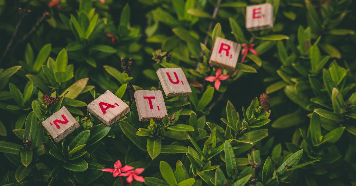 Why does breaking wood blocks have such a delay in minecraft, and how do I fix? - Scrabble Pieces Forming Nature Word