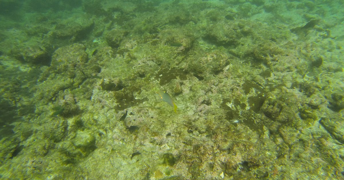 Why does drilling underwater hurt me so much? - School of Fish on Body of Water Why does drilling underwater hurt me so much? - School of Fish on Body of Water