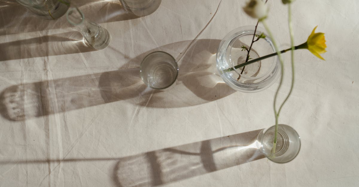 Why does installing Shadow of Mordor from DVD take so incredibly long? - Top View Photo of Flowers in Glass Vase With Water Why does installing Shadow of Mordor from DVD take so incredibly long? - Top View Photo of Flowers in Glass Vase With Water