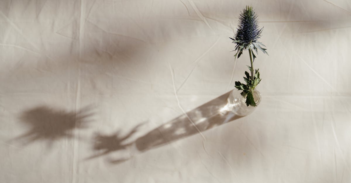 Why does installing Shadow of Mordor from DVD take so incredibly long? - Photo of Flower in Glass Vase Against White Background Why does installing Shadow of Mordor from DVD take so incredibly long? - Photo of Flower in Glass Vase Against White Background
