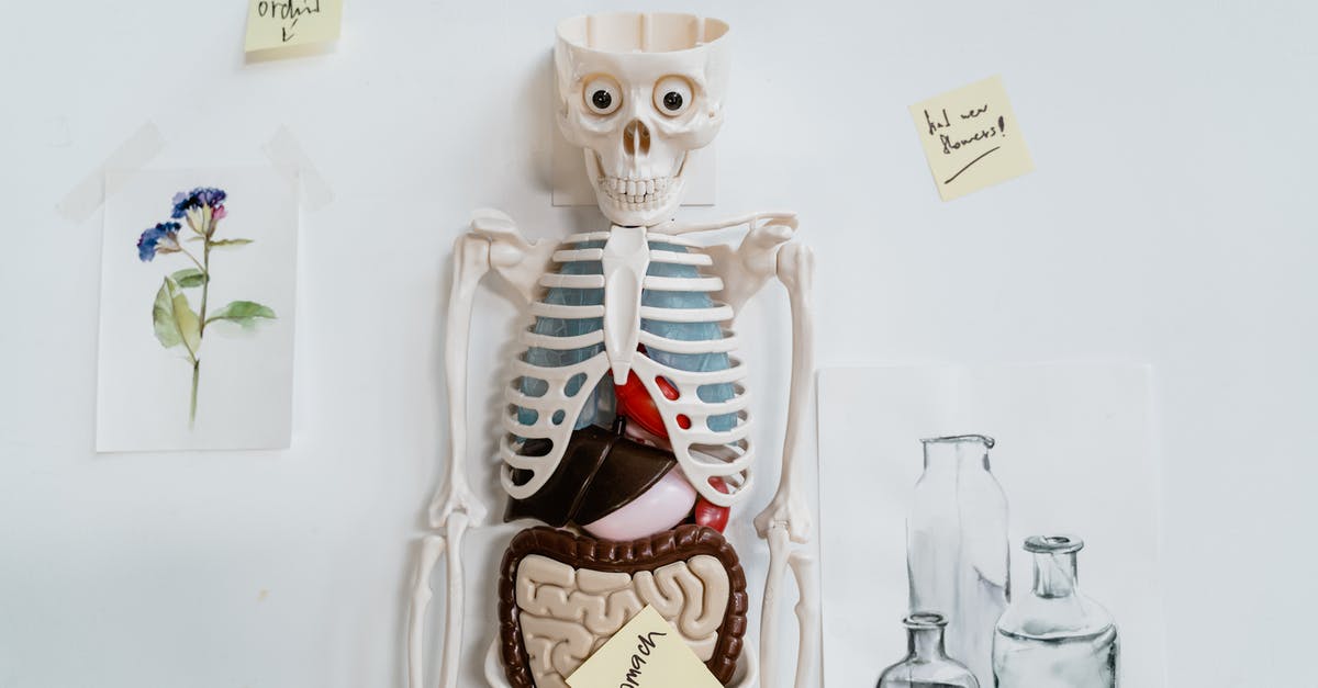 Why does Minecraft say Internal Exception: io.nettty.handler? - Skeleton Model and Sticky Notes