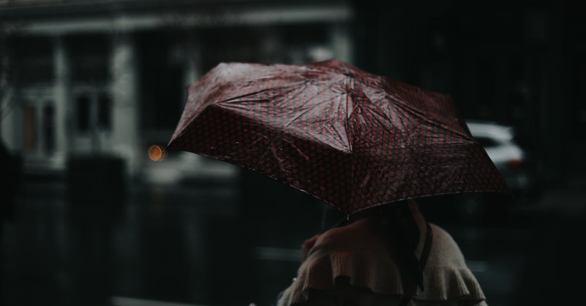 Why does no one drop into my public Payday 2 game? - Person walking with umbrella on street during rain Why does no one drop into my public Payday 2 game? - Person walking with umbrella on street during rain