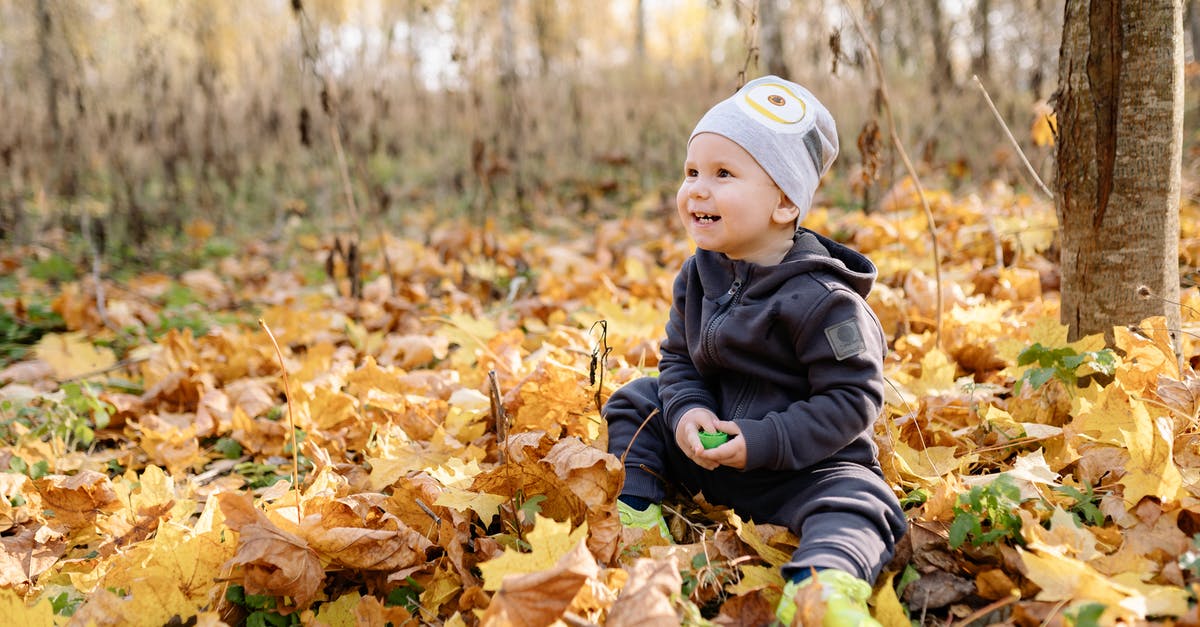 Why does the coop baby for multiplayer magnetize to the bottom right corner? - A Baby Sitting on  Fallen Leaves 