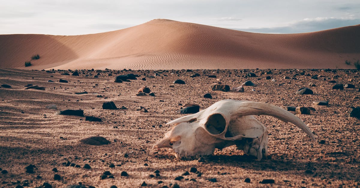 Why doesn't population death yield DNA points? - Remnants on Desert