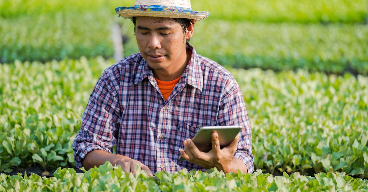 Why doesn't production focus always yield most production of the different focuses? - Serious young Asian male farmer in straw hat and checkered shirt monitoring cultivated areas of field with app on tablet Why doesn't production focus always yield most production of the different focuses? - Serious young Asian male farmer in straw hat and checkered shirt monitoring cultivated areas of field with app on tablet