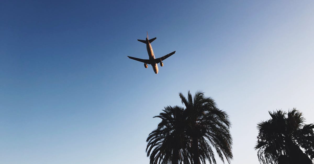Why don't heatseekers lock on to low flying vehicles? - Airplane in Mid Air Above Trees during Day