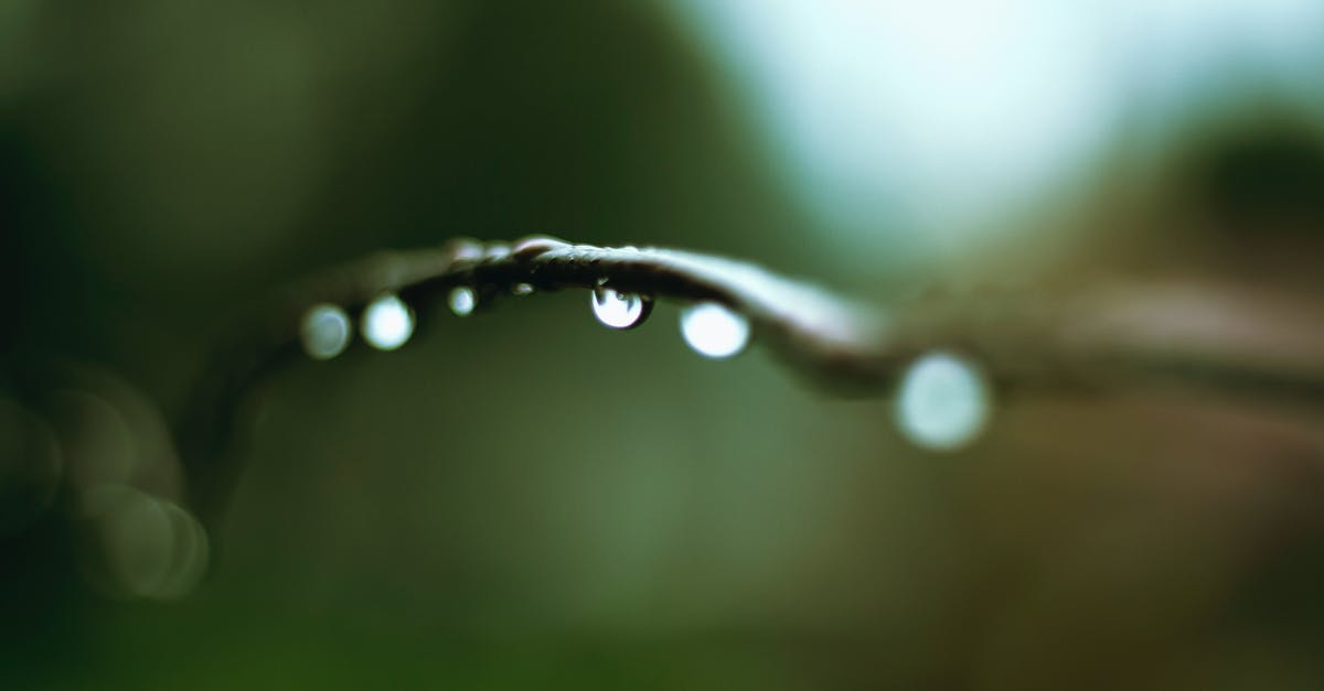 Why don't I seem to get any random drops after Team Fortress 2 crashes? - Macro Photo of Water Droplet on Branch