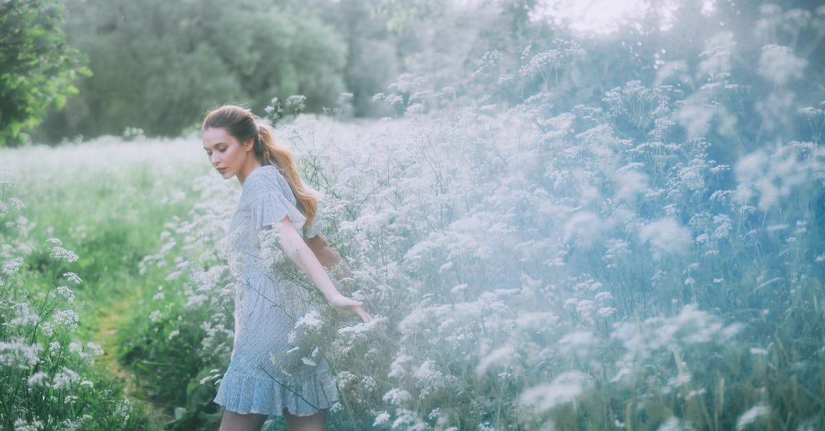 Why I did not get Treading the Narrow Path achievement as Netherlands? - Gentle woman walking on path in field with blooming flowers