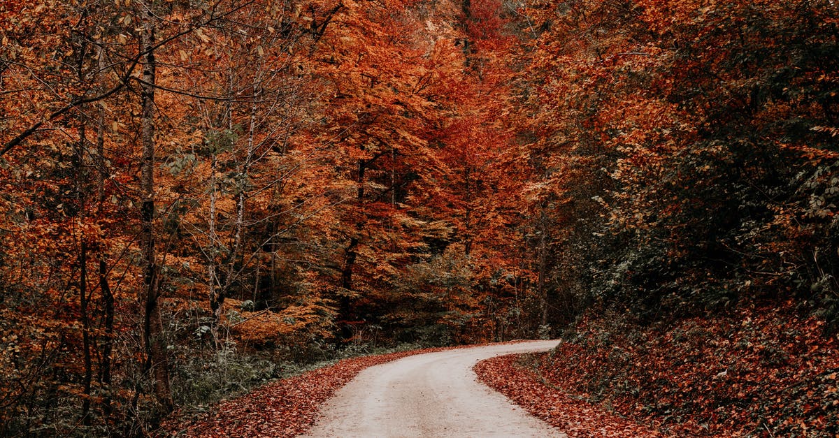 Why I did not get Treading the Narrow Path achievement as Netherlands? - Rural road running through yellow autumn forest
