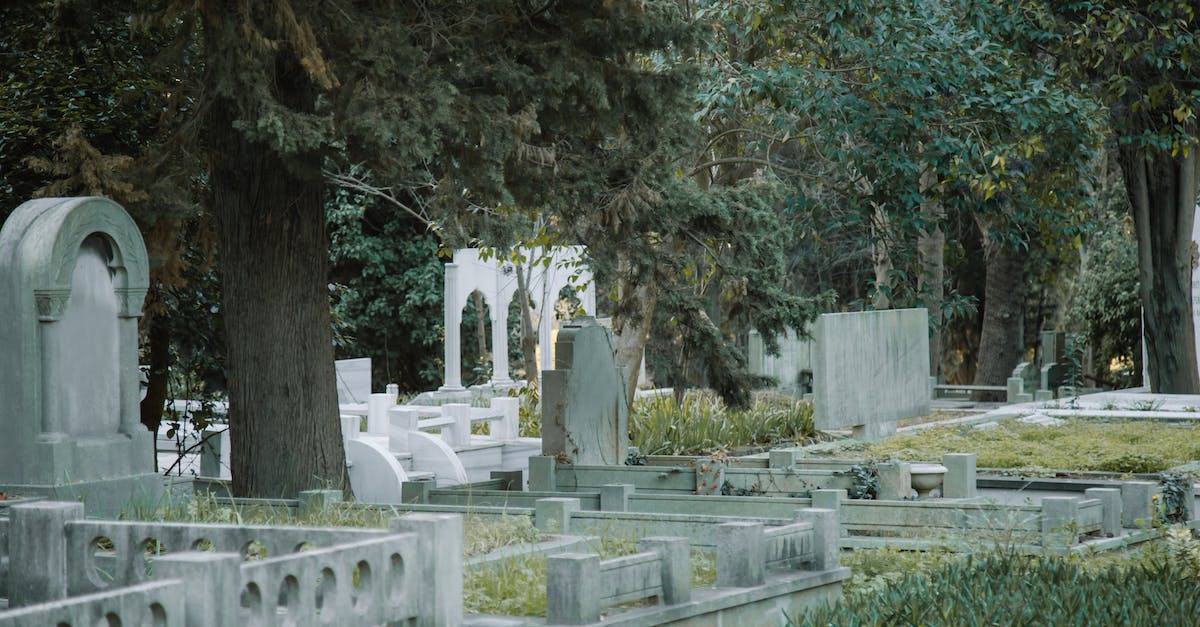 Why is Cybil with Harry in the graveyard after you beat Silent Hill? - Cemetery with graves and overgrown trees in daytime