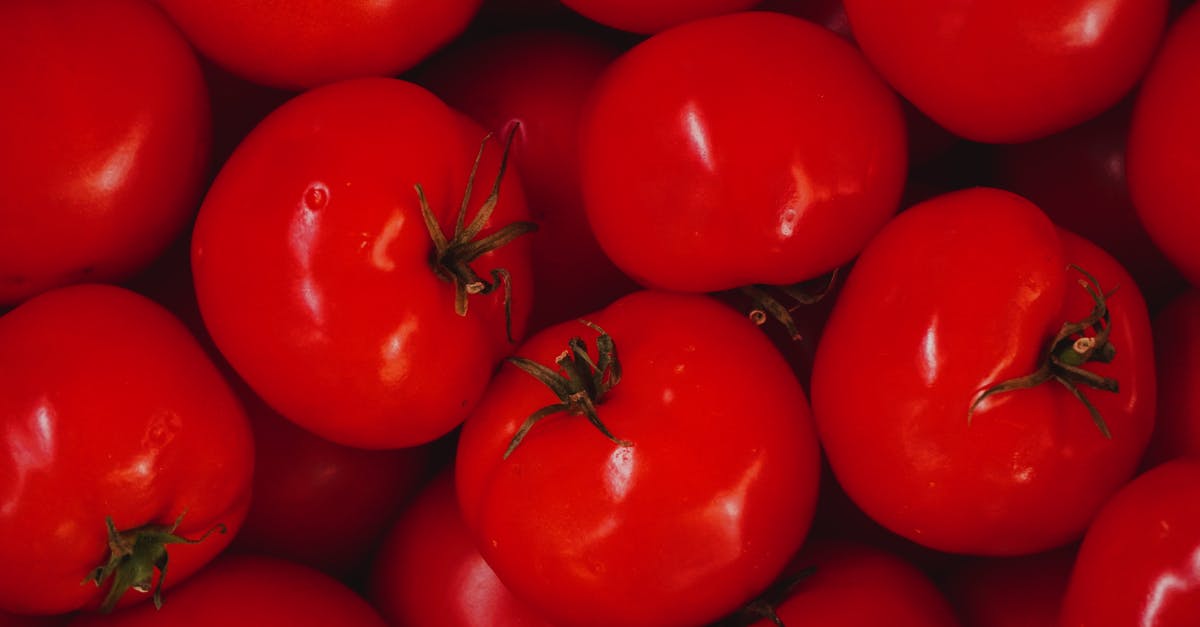 Why is food red? - portret van verse tomaten Why is food red? - portret van verse tomaten