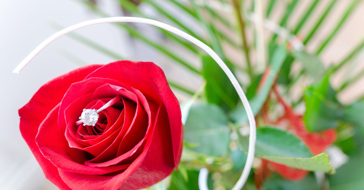 Why is it hard to find a Eevee in the Trophy Garden in Diamond and Pearl? - Red Rose Flower Why is it hard to find a Eevee in the Trophy Garden in Diamond and Pearl? - Red Rose Flower