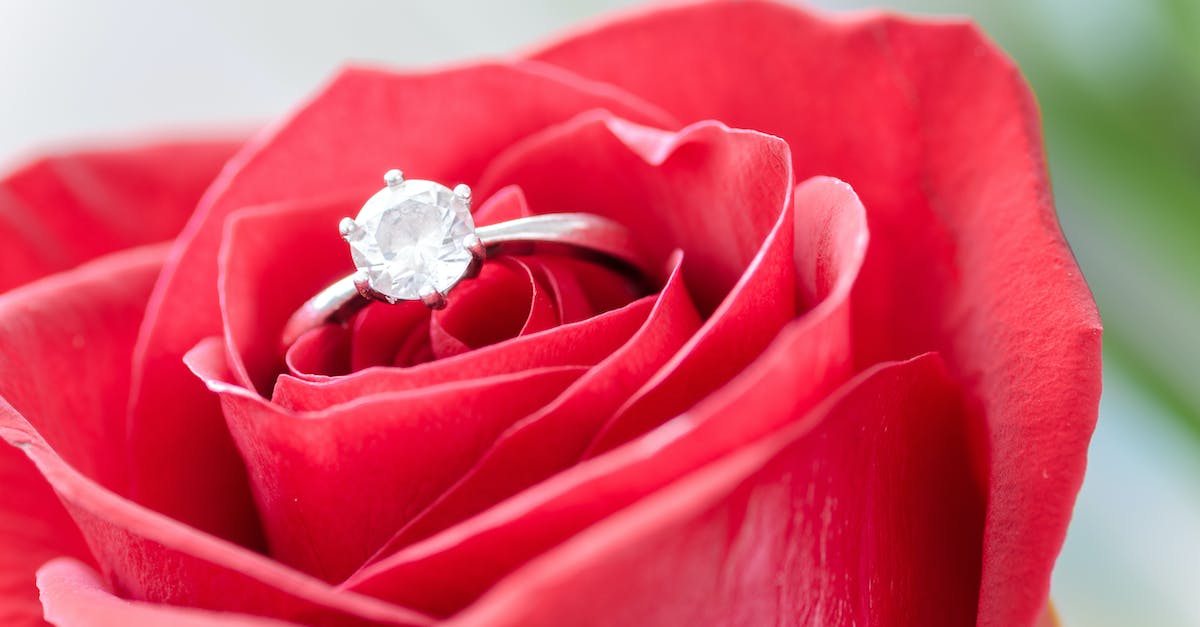 Why is it hard to find a Eevee in the Trophy Garden in Diamond and Pearl? - Silver Diamond Embed Ring on Red Rose Why is it hard to find a Eevee in the Trophy Garden in Diamond and Pearl? - Silver Diamond Embed Ring on Red Rose