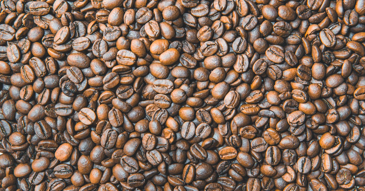Why is Minecraft not launching from my batch file? - Close-Up Photo of Brown Roasted Coffee Beans